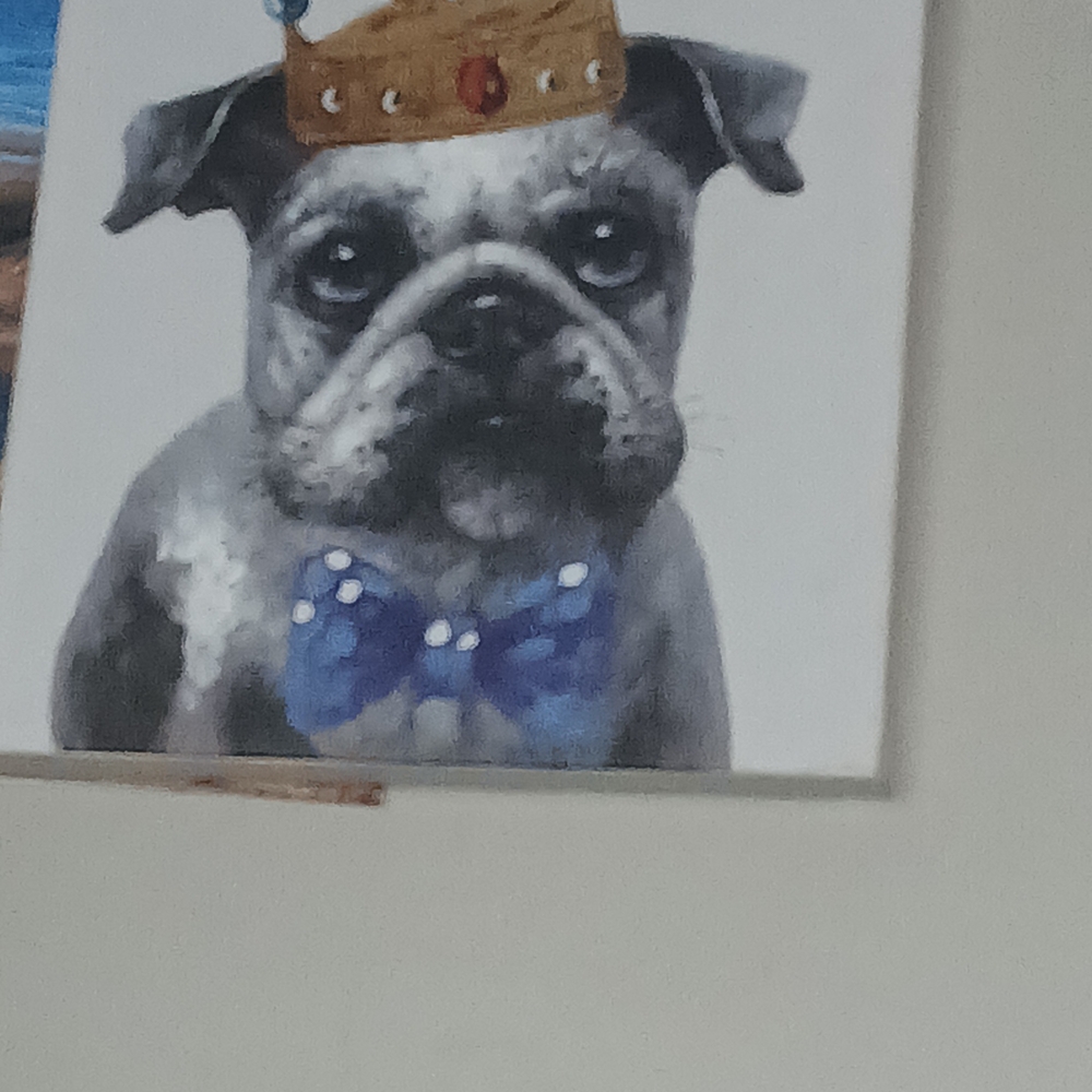 Royal Dog Canvas Art with Blue Bow Tie